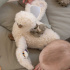 Sebra Aktivitetsleksak Svan i gruppen Leksaker / Babyleksaker / Bitleksaker hos Bonti (SEBR301130013)