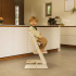 Stokke Tripp Trapp Stol Vanilla White i gruppen Babytillbehör hos Bonti (STOK100142)